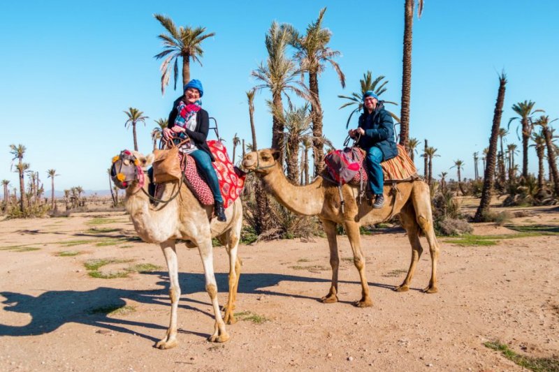 Camel Ride Marrakech